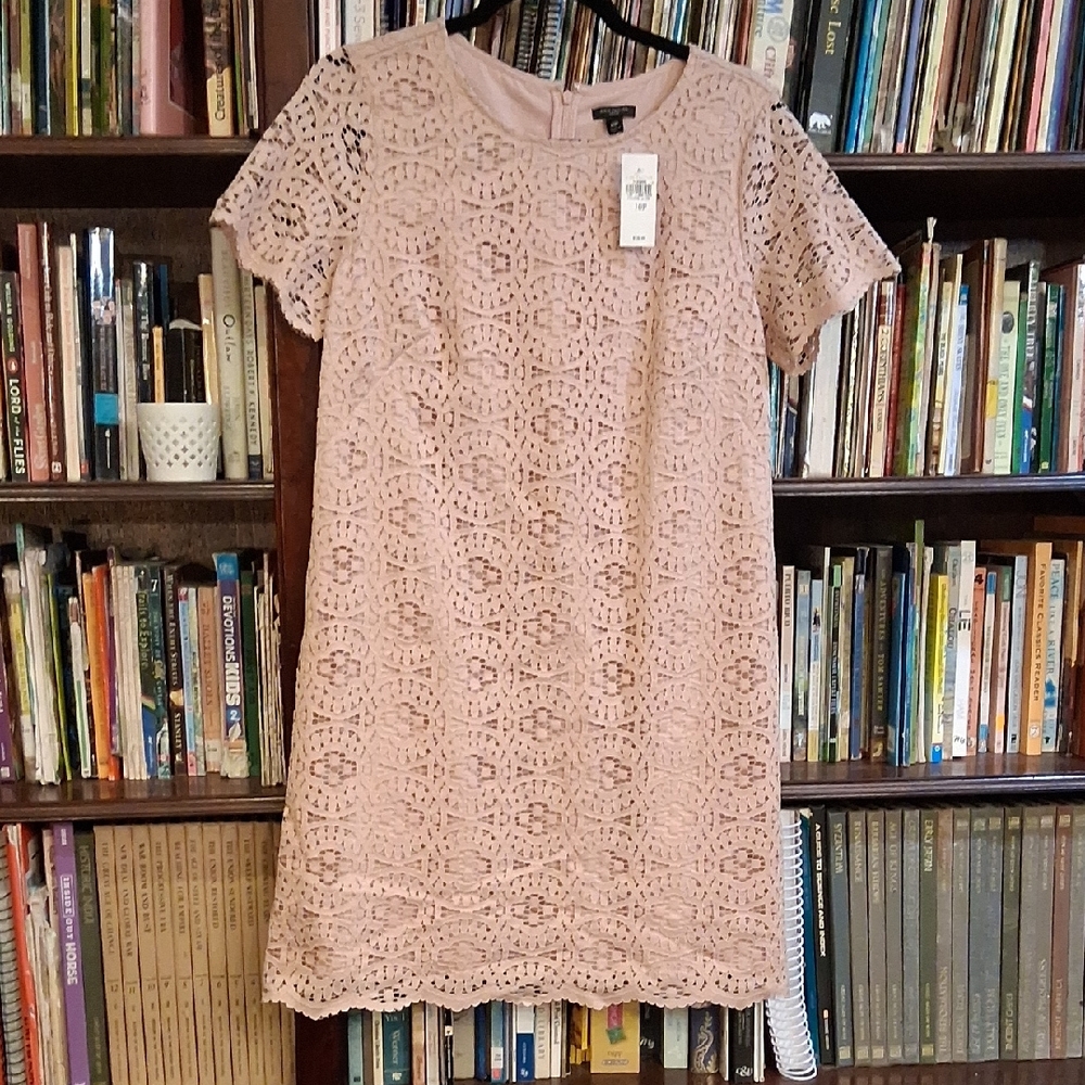 Ann Taylor Pink Lace Mini Dress